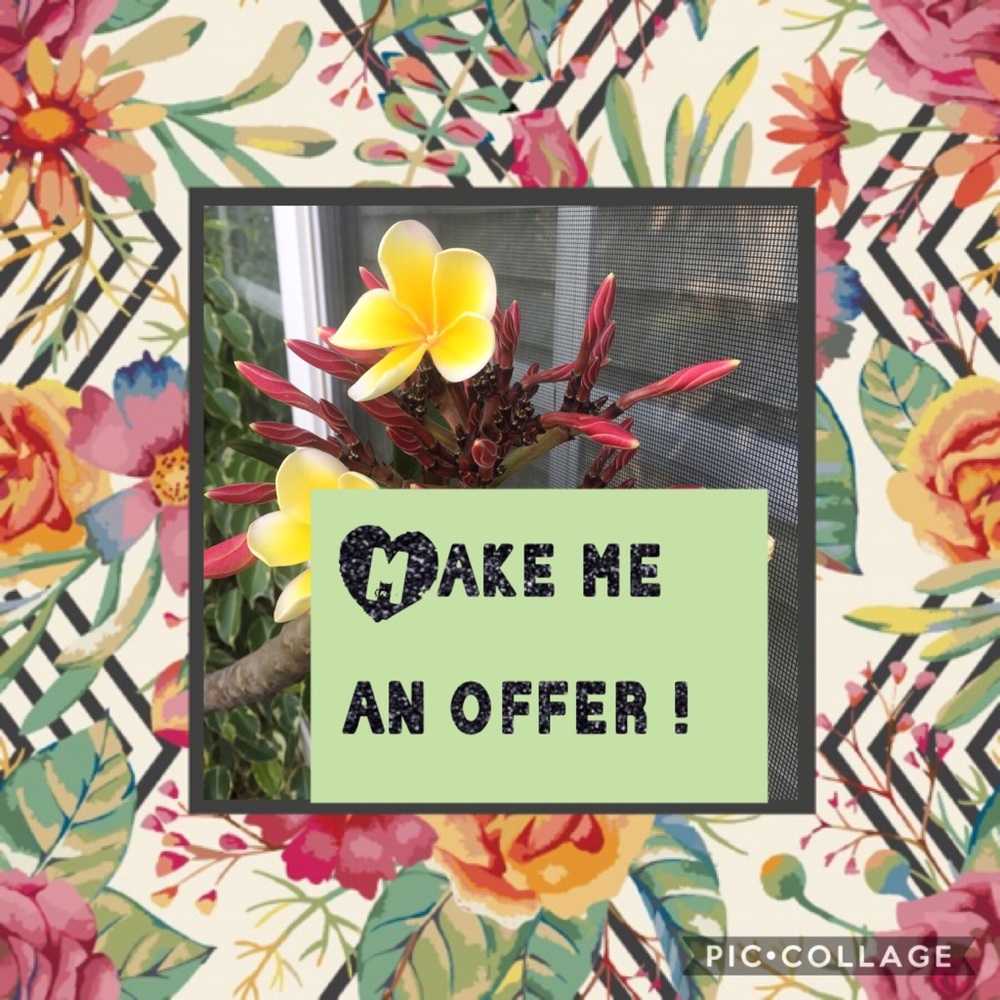 Discounts with bundles, considers all offers 🧡
